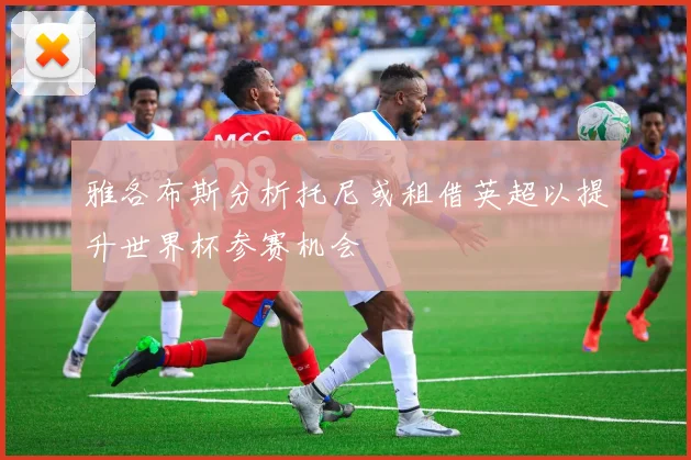 雅各布斯分析托尼或租借英超以提升世界杯参赛机会
