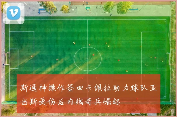 斯通神操作签回卡佩拉助力球队亚当斯受伤后内线奇兵崛起